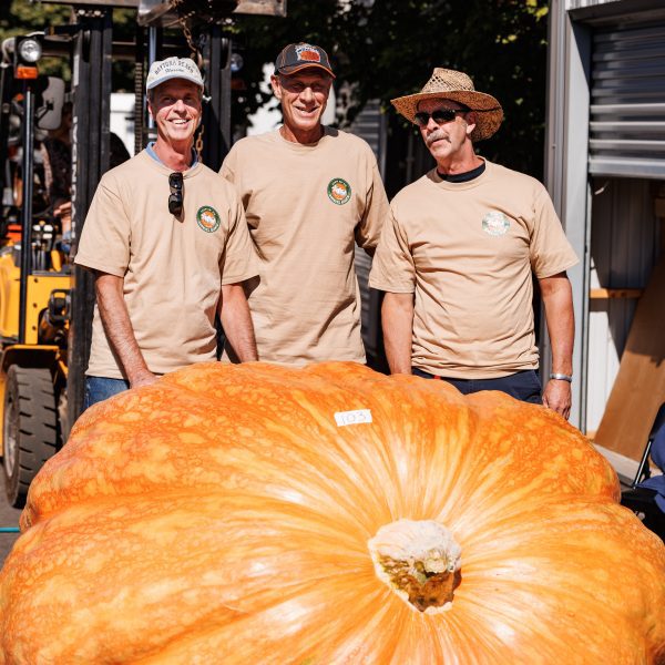 2342.5 Andrusz +15% Heavy (2554 Andrusz x 1975.5 Fleser)