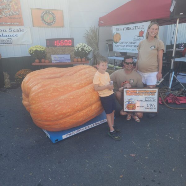 1645.5 Andrusz (2342.5 Andrusz x 2002 Andrusz)