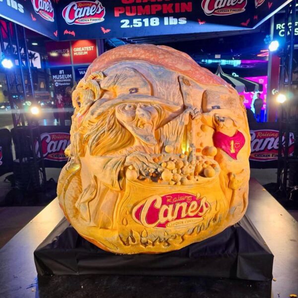 2518 Andrusz(25)(1975.5 Fleser x 2554 Andrusz)495 OTT