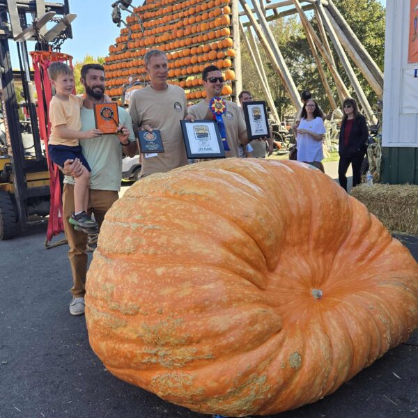 2477.5 Andrusz (2554 Andrusz x 1975.5 Fleser) 506 OTT