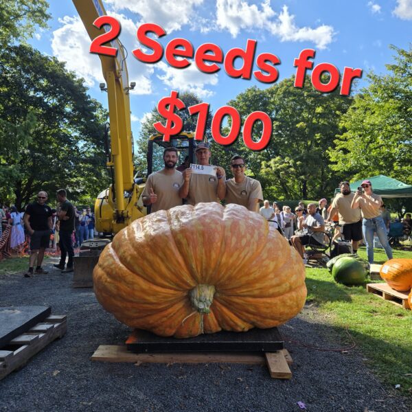 2 seeds 2114.5 Andrusz(25) 2342.5 Andrusz x 1975.5 Fleser