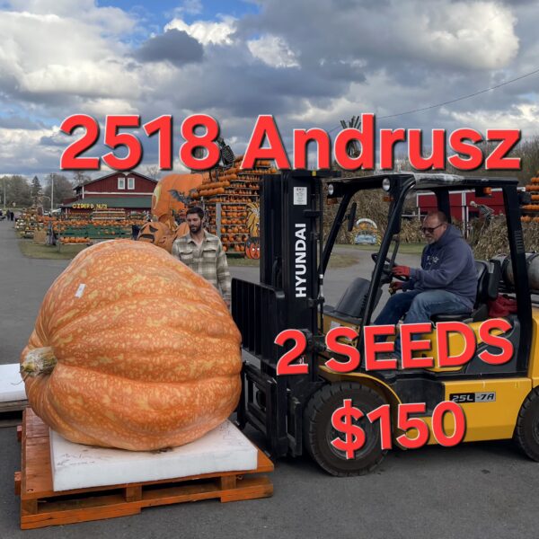 2518 Andrusz(25) 2 SEEDS $150!